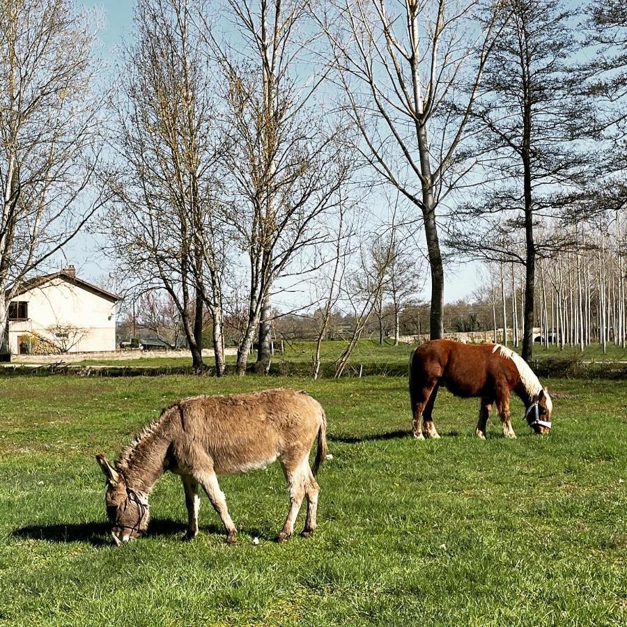 Moulin De Pras Bed & Breakfast Sigy-le-Chatel Bagian luar foto