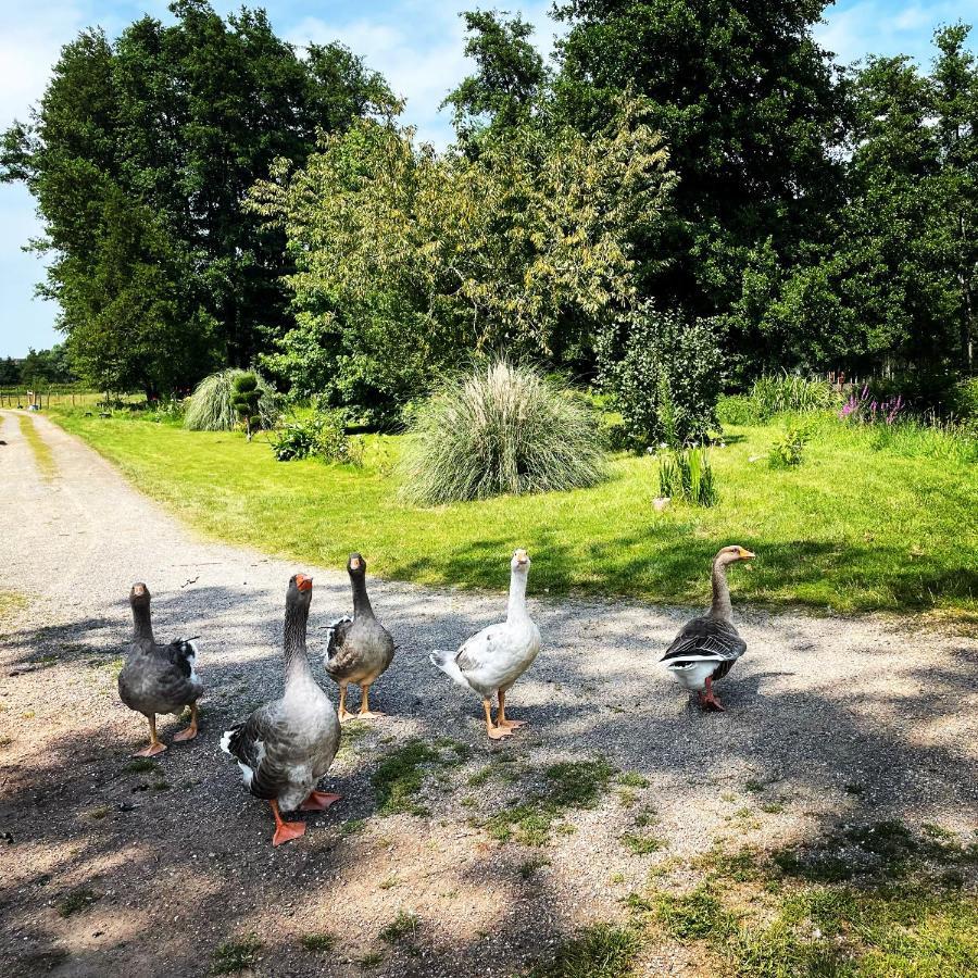 Moulin De Pras Bed & Breakfast Sigy-le-Chatel Bagian luar foto