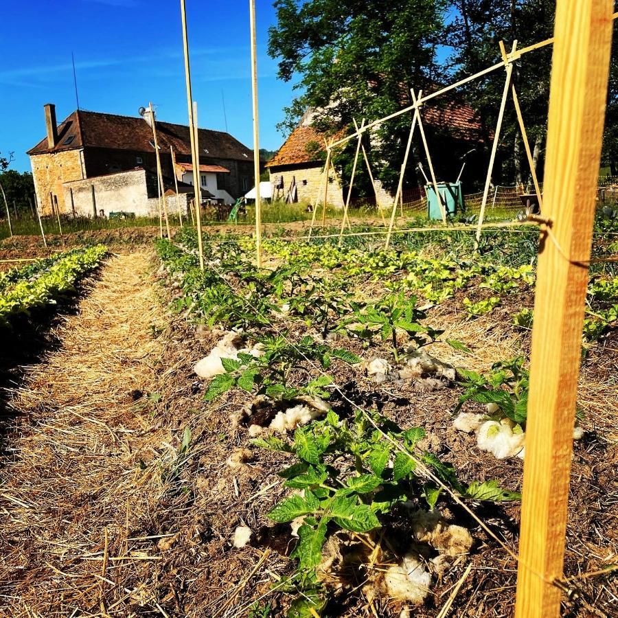 Moulin De Pras Bed & Breakfast Sigy-le-Chatel Bagian luar foto